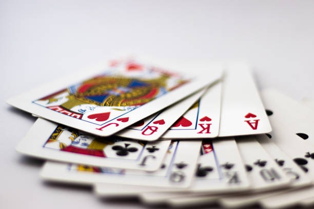 hoki88cek Sportsbook
